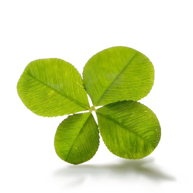 リクルート | 求人情報